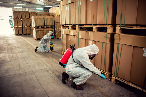 Best Best Pest Control Companies  in Pine Mountain, GA