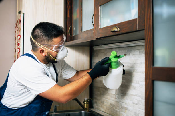 Best Pest Prevention Services  in Pine Mountain, GA