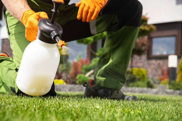 Wasp Removal Services in Pine Mountain, GA