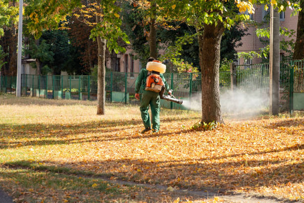 Best Emergency Pest Control  in Pine Mountain, GA