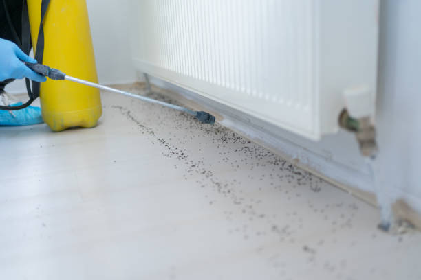 Best Cockroach Control Services  in Pine Mountain, GA
