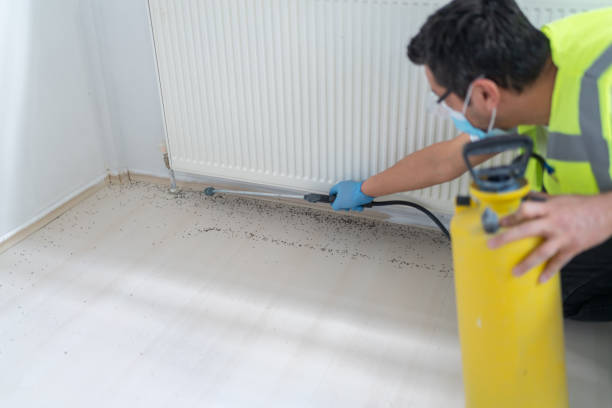 Best Pest Prevention Services  in Pine Mountain, GA