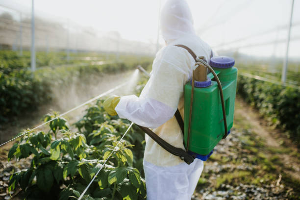 Best Pest Control for Businesses  in Pine Mountain, GA